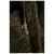 Imagen detallada 7 Reell - Regular Flex Chino Cord - Pantalones de ocio