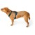 Detailbild 7 Hunter - Maldon 3.0 - Hundegeschirr
