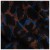 Imagen detallada 7 DEDICATED - Women's Sweater Limhamn Leopard - Jerséis