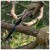 Detailbeeld 8 Nordic Pocket Saw - Skalvik 8 - Zaag