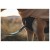 Detail image 9 Ruffwear - Timberline Fuse Fleece Vest - Dog coat
