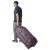 Detaljebillede 9 Eagle Creek - Cargo Hauler Rolling Duffel 130 - Rejsetaske