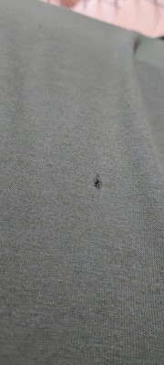 Image 2 from Thomas of Aclima - Woolterry Crew Neck - Merino jumper