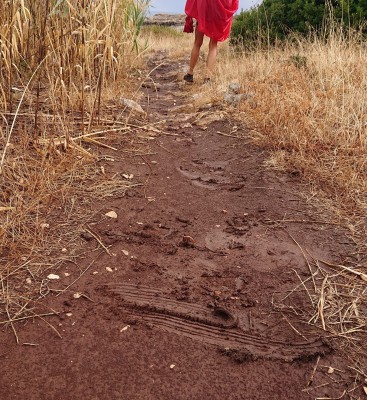 Bild 1 von Jeannine zu adidas Terrex - Women's Terrex Soulstride RAIN.RDY - Trailrunningschuhe