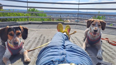 Bild 1 von orsolya zu adidas - Women's VL Court 3.0 - Sneaker