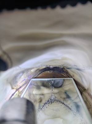 Imagen 1 de Bettina sobre AKU - Minima - Calzado informal