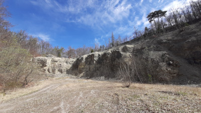 Image 1 from Hans-Jürgen of AKU - Rock DFS GTX - Approach shoes