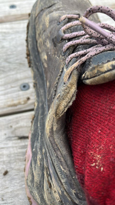 Imagen 1 de Phillip sobre Altra - Women's Olympus 5 Hike Low GTX - Botas de trekking