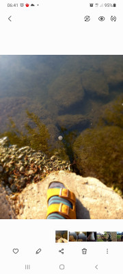 Immagine 2 di sabine su Birkenstock - Arizona SFB VL - Sandali