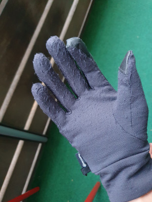 Imagen 1 de Angela sobre Black Diamond - Lightweight Wooltech Gloves - Guantes