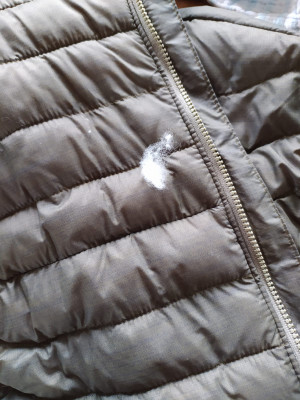 Bild 1 von Robin-Pierre zu Columbia - Powder Pass Vest - Kunstfaserweste