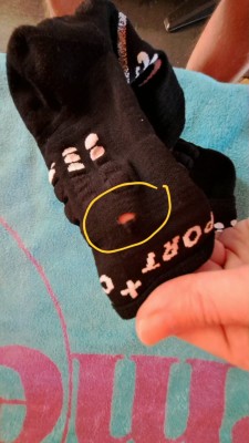 Image 1 from Goran of Compressport - Pro Marathon Socks V2.0 - Running socks