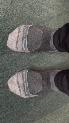 Image 1 from Susan of Darn Tough - Women's Light Hiker No Show Lightweight w Cushion - Walking socks