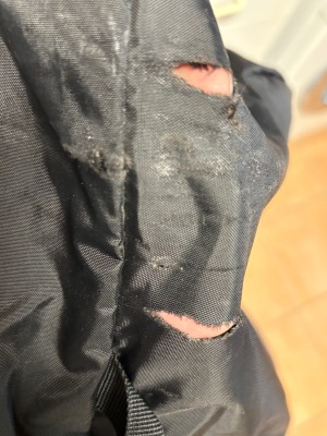 Image 1 from Gerhard of Deuter - Flight Cover 40-60 - Protective cover