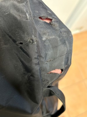 Image 2 from Gerhard of Deuter - Flight Cover 40-60 - Protective cover