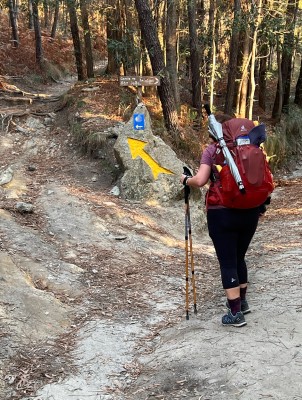 Bild 1 von Tracy zu Deuter - Women's Futura Pro 34 SL - Wanderrucksack