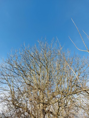 Bild 1 av Dorothee till Didriksons - Falke USX Parka - Parka