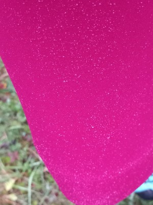 Foto 1 van Doris bij Dynafit - Women's Alpine Warm Pant - Hardloopbroek