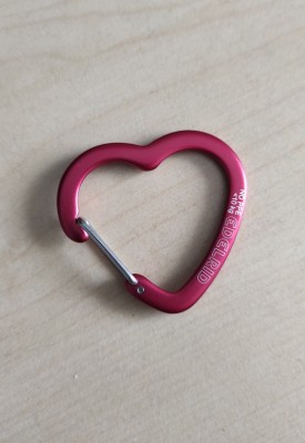 Bild 2 von Katrin zu Edelrid - Corazón - Materialkarabiner