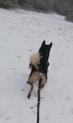 Bild 1 von Julia zu ENDURANCE - Women's Energy Winter Tights - Lauftights