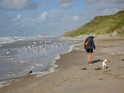 Foto 1 van Dieter bij Fjällräven - High Coast Hip Pack - Heuptas