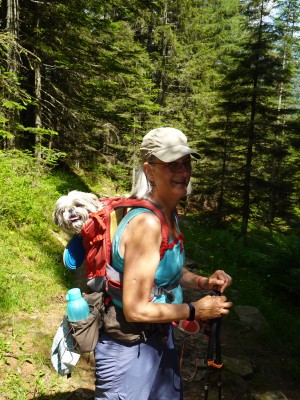 Foto 1 van Stefano bij Fjällräven - Singi Hip Pack 10 - Heuptas