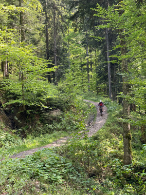 Imagen 1 de Anna-Lena sobre FOX Racing - Speedframe Helmet Mips - Casco de ciclismo