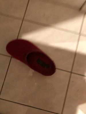 Bild 1 von Hana zu Haflinger - Grizzly Torben - Hüttenschuhe