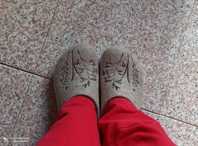 Image 1 from Doriana of Haflinger - Women's Grizzly Meadow - Slippers