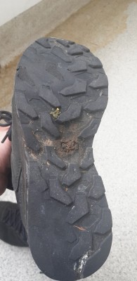 Bild 5 von Marcus zu Hanwag - Blueridge ES - Wanderschuhe