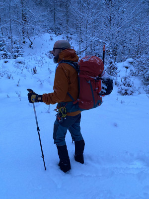 Imagen 1 de Leen sobre Hestra - Army Leather Ascent 5 Finger - Guantes