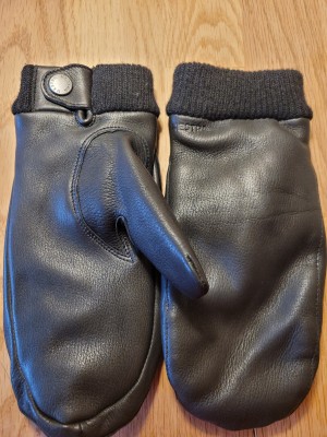 Image 1 from Sandra of Hestra - Women's Idun Mitt - Gloves