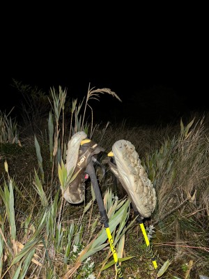 Imagen 1 de Arturs sobre HOKA - Hopara 2 - Zapatillas multideporte