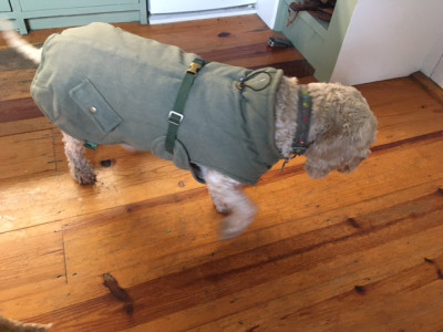Bild 1 von Nadja zu Hunter - Dog Coat Uppsala Trend - Hundemantel