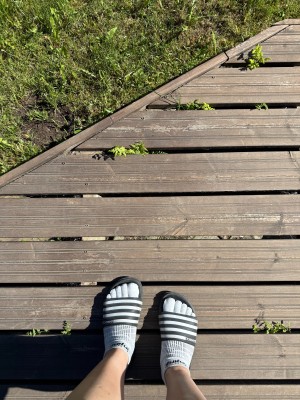 Image 1 from Susan of Injinji - Women's Run Lightweight No-Show - Running socks