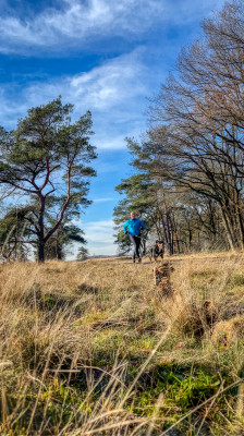 Imagen 1 de Benny sobre Inov8 - Roclite G 345 GTX - Botas de trekking