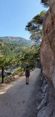 Bild 1 von Anke zu Joha - Women's Tank Top 70/30 - Merinounterwäsche