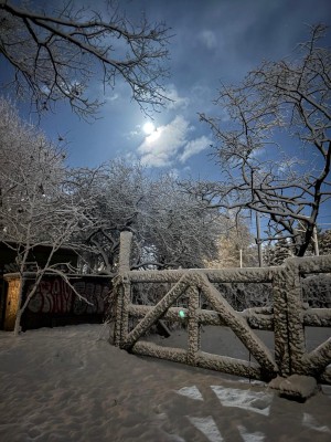 Bild 1 von Christine zu Komperdell - Speed Trail - Skitourenstöcke