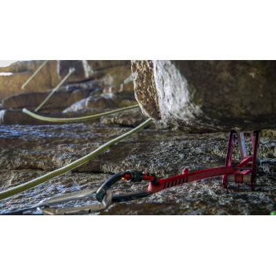 Imagen 2 de Hans-Günther sobre Kong - Gipsy - Fisurero