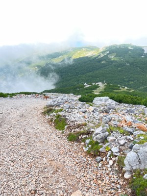 Bild 3 av Michael till La Sportiva - Cyklon - Skor trailrunning