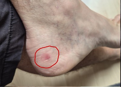 Imagen 1 de Didier sobre La Sportiva - TX4 Evo GTX - Zapatillas de aproximación