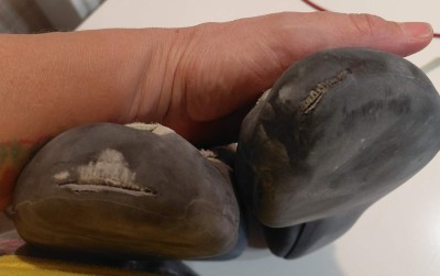 Image 1 from Andrea of La Sportiva - Women's Mythos - Climbing shoes