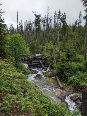 Bild 3 av Carsten till Lowa - Camino Evo GTX - Vandringskängor