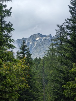 Bild 2 av Carsten till Lowa - Camino Evo GTX - Vandringskängor