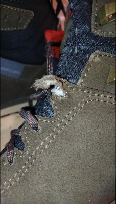 Imagen 1 de Rodolphe sobre Lowa - Malta GTX MID - Botas de trekking