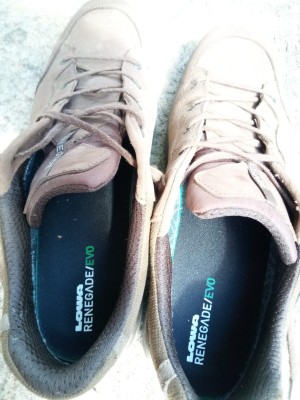 Foto 1 van Rudolf bij Lowa - Renegade Evo GTX Lo - Multisportschoenen