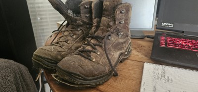 Image 1 from Jean-Yves of Lowa - Renegade Evo GTX Mid Wide - Walking boots