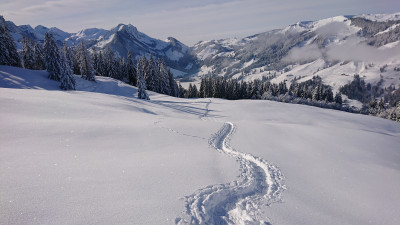 Bild 2 av Erich till Maier Sports - Herrmann - Vinterbyxa