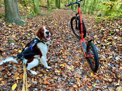 Imagen 1 de Carmen sobre Mammut - Women's Sertig II Mid GTX - Botas de trekking