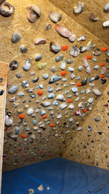 Imagen 1 de Stefan sobre Metolius - Mini Jug 15 Pack Naturals - Presas de escalada